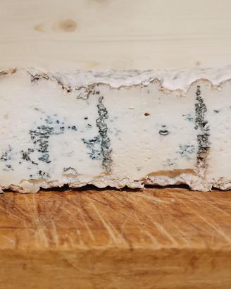 gorgonzola di latte di capra