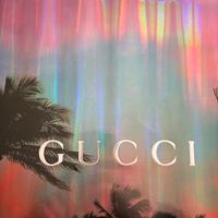 Busta in carta Gucci