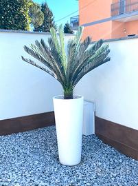 Vaso VECA con palma artificiale