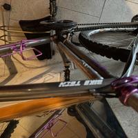 Bicicletta mountan bike