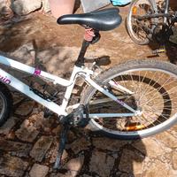 bici mountain bike