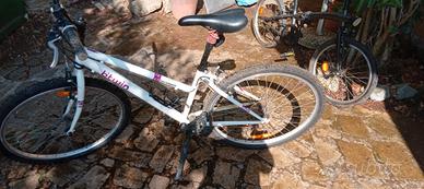 bici mountain bike