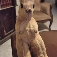Peluche di canguro australiano originale del 1969