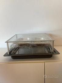 Set cottura a vapore forno Neff