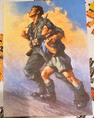Cartolina PNF GIL  non viaggiata C. Tafuri