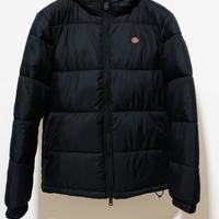 Giacca Invernale Dickies XS