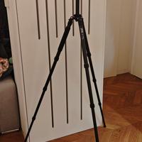 Trepiedi in fibra di carbonio + testa fluida video