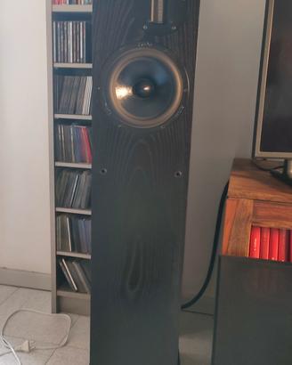 PROAC  RESPONSE D30 S RIBBON