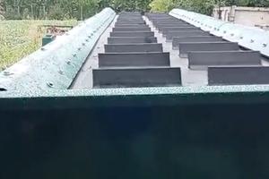 nastro scarico patate