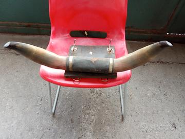 attaccapanni di corna vere