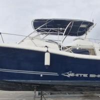 White Shark 298 - 2008