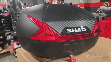 BAULETTO SHAD SH47