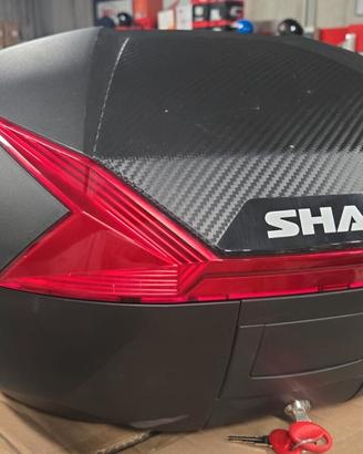 BAULETTO SHAD SH47