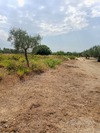 Terreno agricolo zona via fanelli a Bari