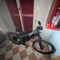 bici elettrica 