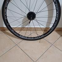 ruote bdc Fulcrum 5 lg 11v