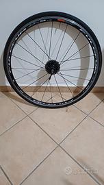 ruote bdc Fulcrum 5 lg 11v