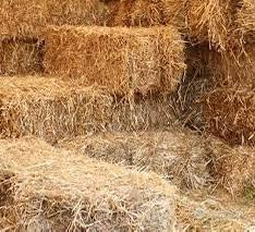 Balline di fieno