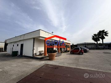 Immobile di 2700 m² a Cellole