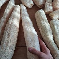 spugna in luffa naturale