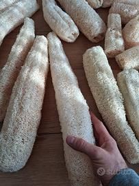 spugna in luffa naturale