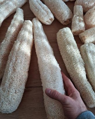 spugna in luffa naturale
