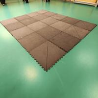 Tatami o tappetini palestra 