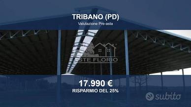 Immobile in asta di 136 m² a Tribano