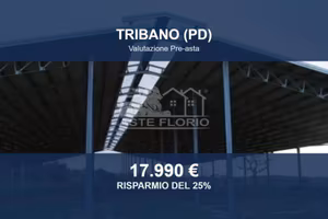 Immobile in asta di 136 m² a Tribano
