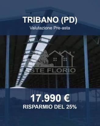 Immobile in asta di 136 m² a Tribano