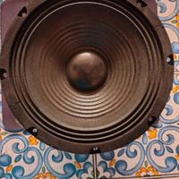 Woofer 20cm Plug and Sound