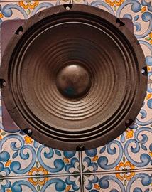 Woofer 20cm Plug and Sound