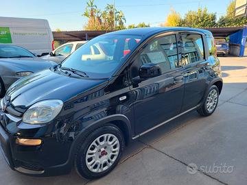 FIAT Panda 3ª serie - 2023