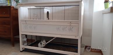 Conigliera da Interno "Cottage Large"
