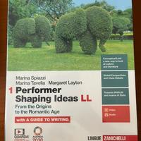 Performer Shaping Ideas LL 1