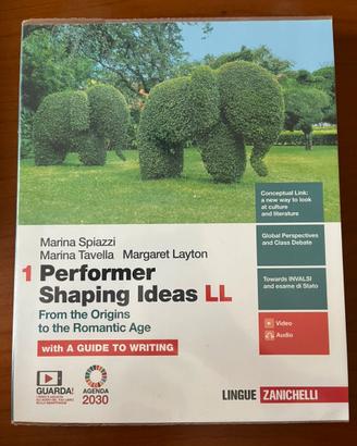 Performer Shaping Ideas LL 1