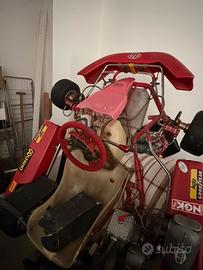 Go kart 125 motore tm