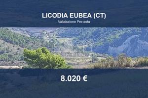 Immobile in asta di 35652 m² a Licodia Eubea