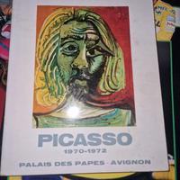 libro Picasso