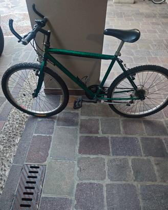 MTB bici RAGAZZI