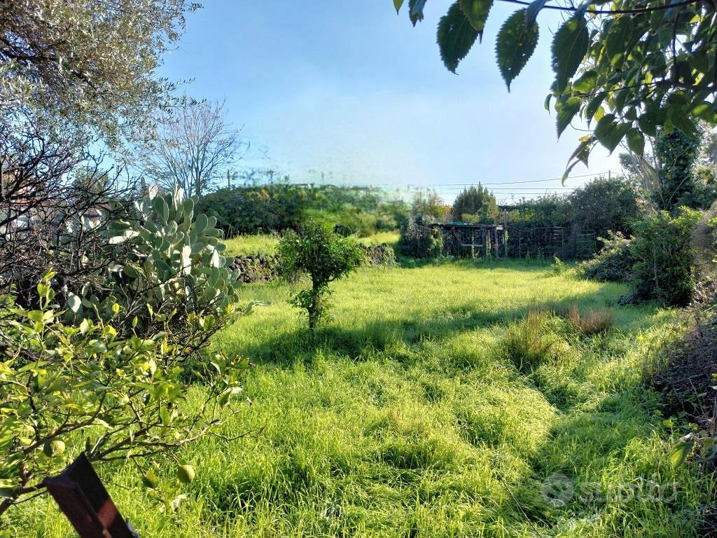 Terreno agricolo 1000 mq circa s.m. la stella - Vista 5
