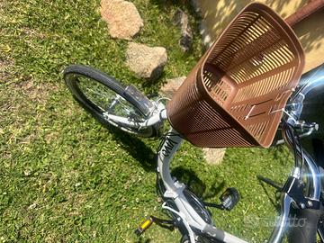 Bicicletta elettrica