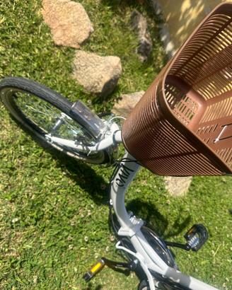 Bicicletta elettrica
