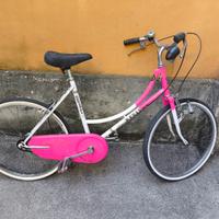 Bici in buone condizioni, manutenzione richiesta