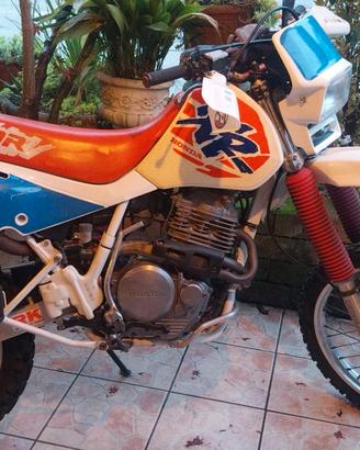 HONDA XR600 R DALL'ARA 1992