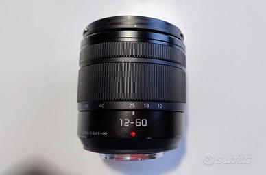 Panasonic Lumix 12 60