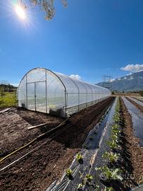 SERRE AGRICOLE - dal 1966