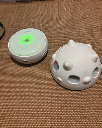 Giochi elettronici per i gatti