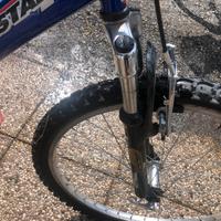 bici da ragazzo raggio 24