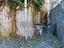 Immagine 19